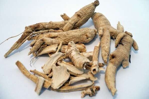 Radice di ginseng per aumentare la potenza